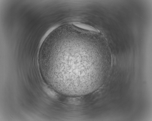 X0000082150147200702021644