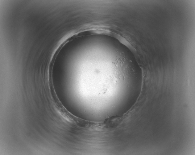 X0000082150148200702021644