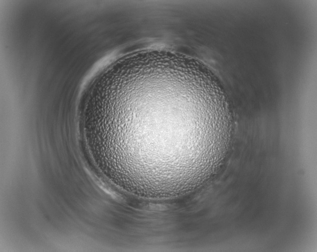 X0000082150149200702021644