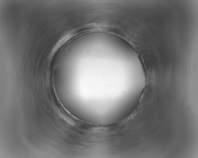 X0000082150150200702021644