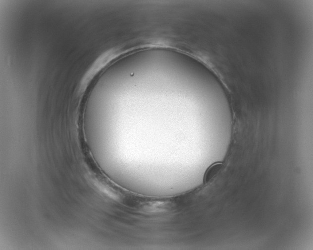 X0000082150151200702021644