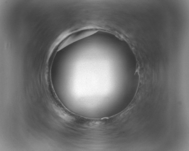 X0000082150152200702021644