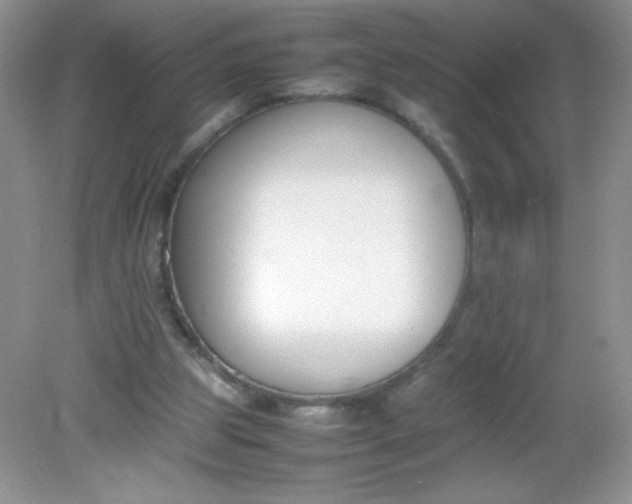 X0000082150153200702021644