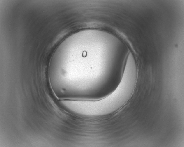 X0000082150154200702021644