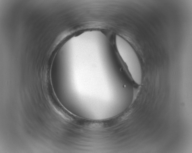 X0000082150156200702021644