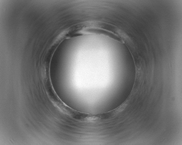 X0000082150158200702021644