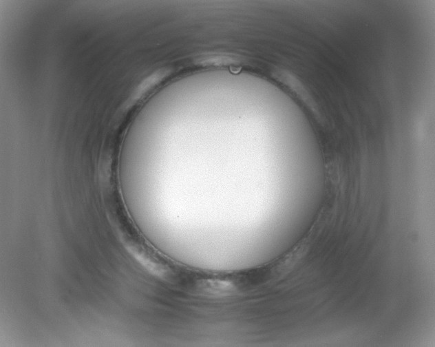 X0000082150159200702021644