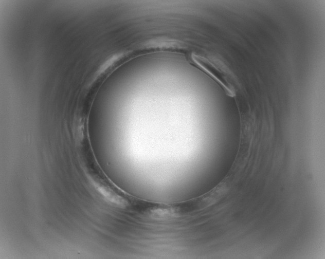 X0000082150160200702021644