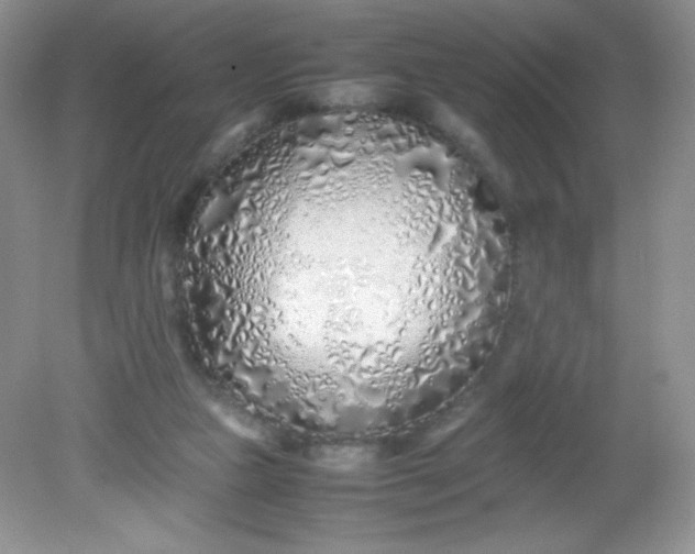 X0000082150161200702021644