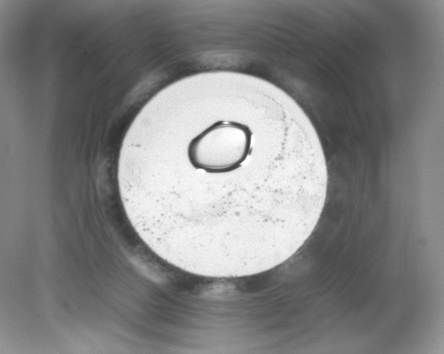 X0000082150162200702021644