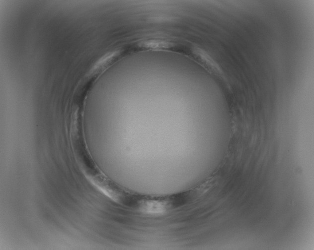 X0000082150163200702021644