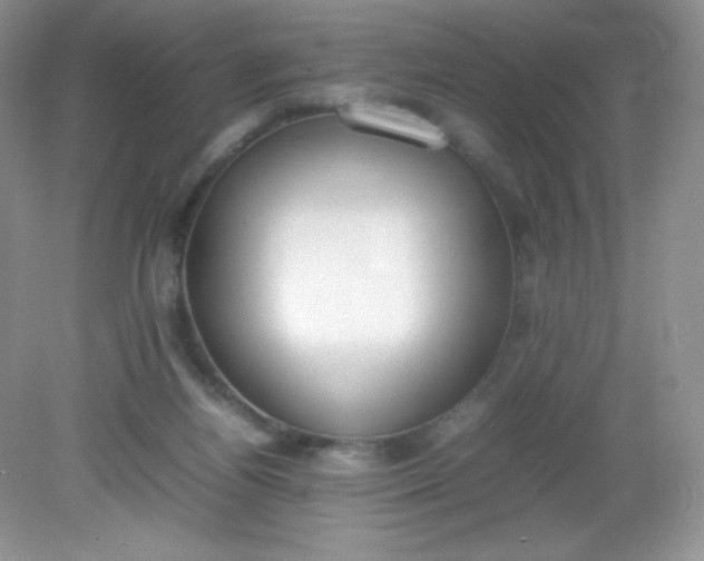 X0000082150164200702021644