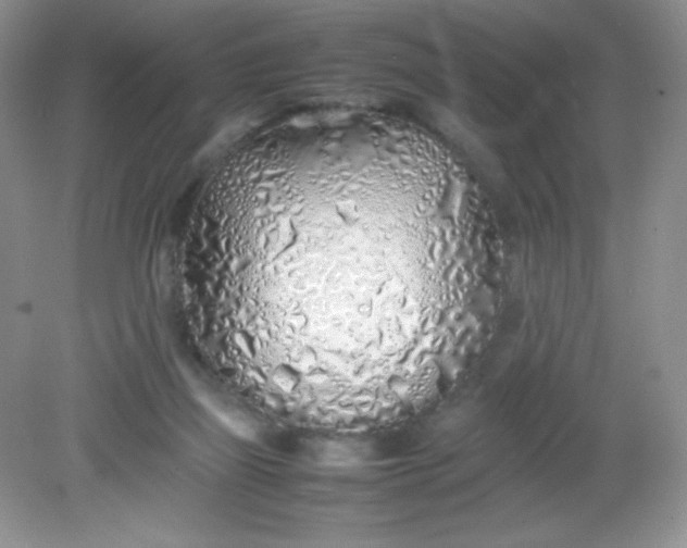 X0000082150165200702021644