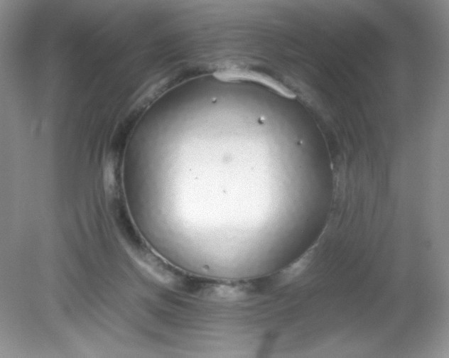 X0000082150166200702021644