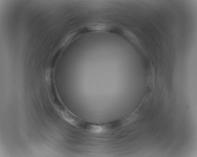 X0000082150167200702021644