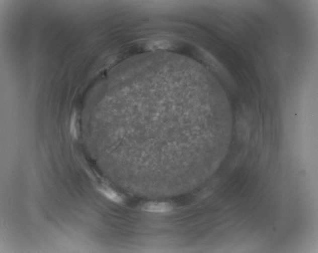 X0000082150169200702021644