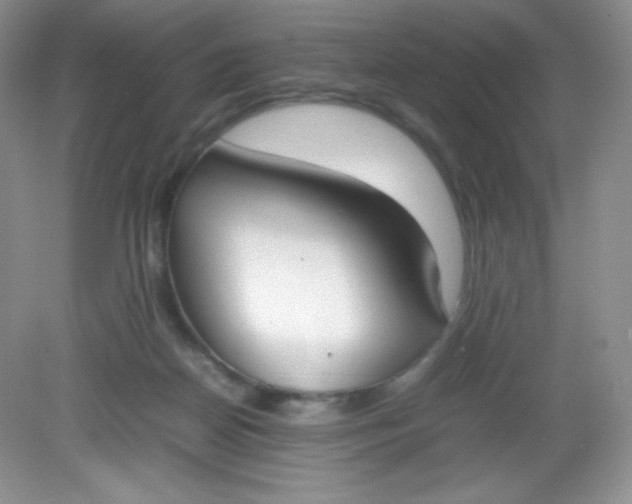 X0000082150170200702021644