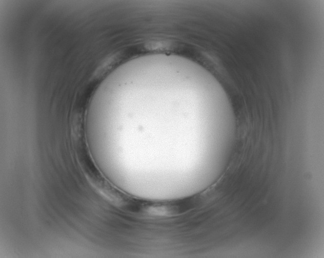 X0000082150171200702021644