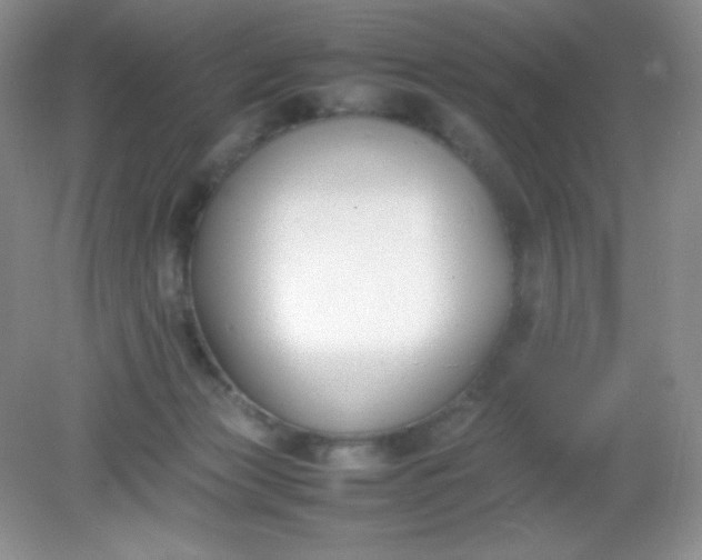 X0000082150173200702021644