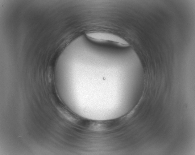 X0000082150174200702021644