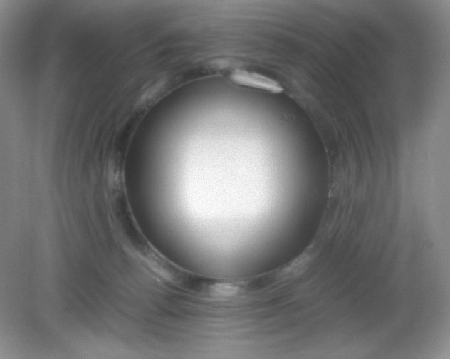 X0000082150176200702021644