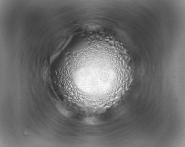 X0000082150177200702021644