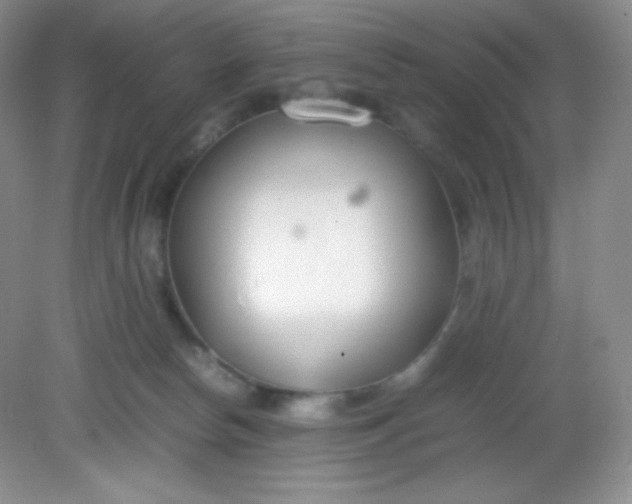 X0000082150178200702021644