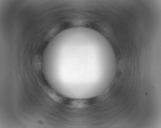 X0000082150179200702021644