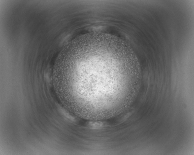 X0000082150181200702021644