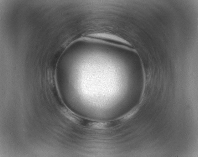 X0000082150182200702021644