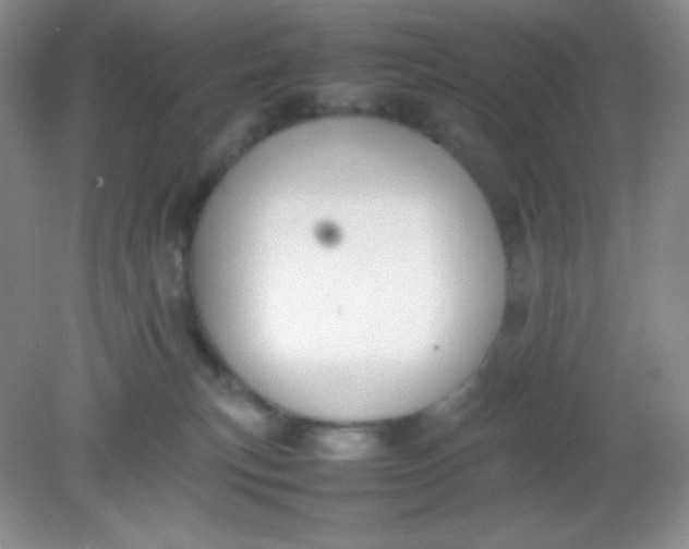 X0000082150183200702021644