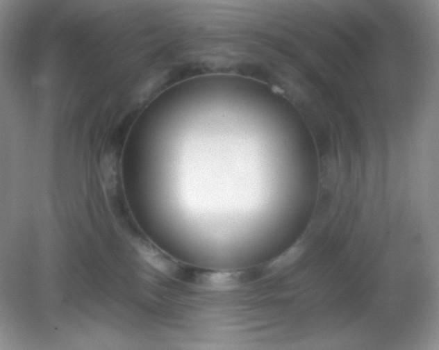 X0000082150184200702021644