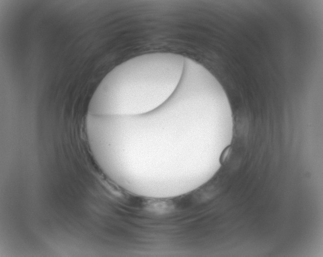 X0000082150185200702021644