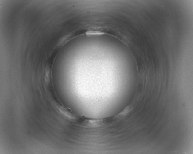 X0000082150188200702021644