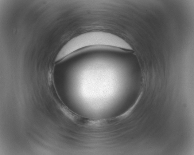 X0000082150190200702021644