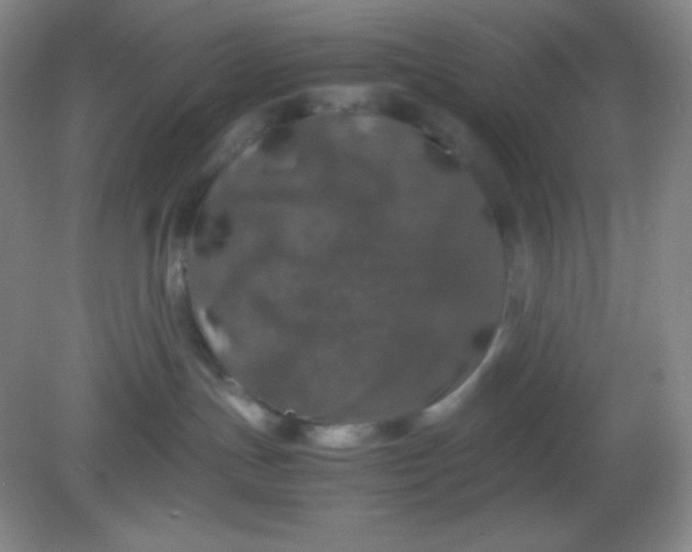 X0000082150191200702021644