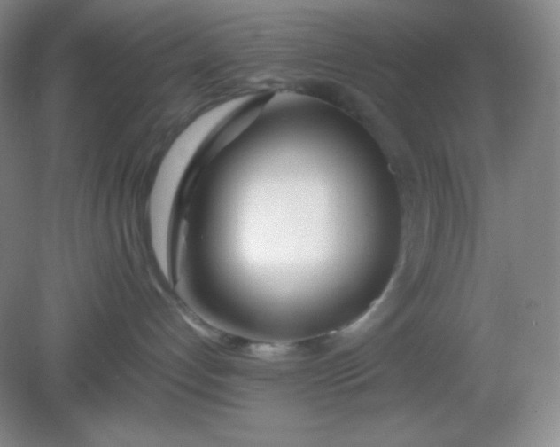 X0000082150192200702021644