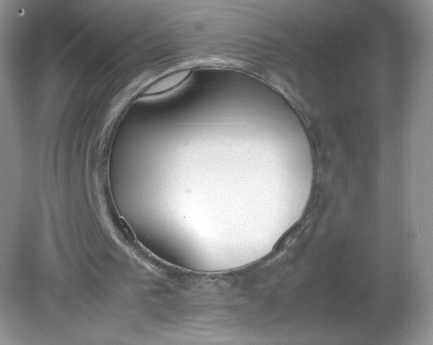 X0000082150193200702021644