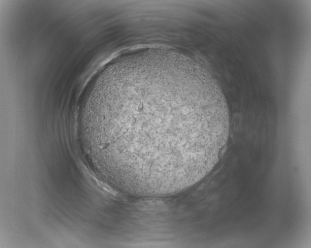 X0000082150194200702021644