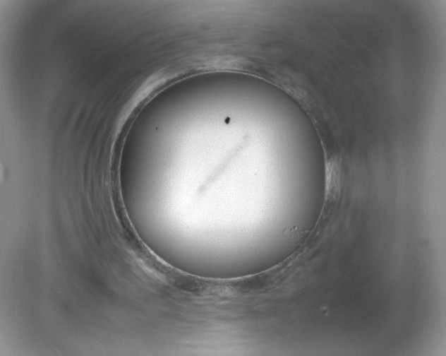 X0000082150195200702021644