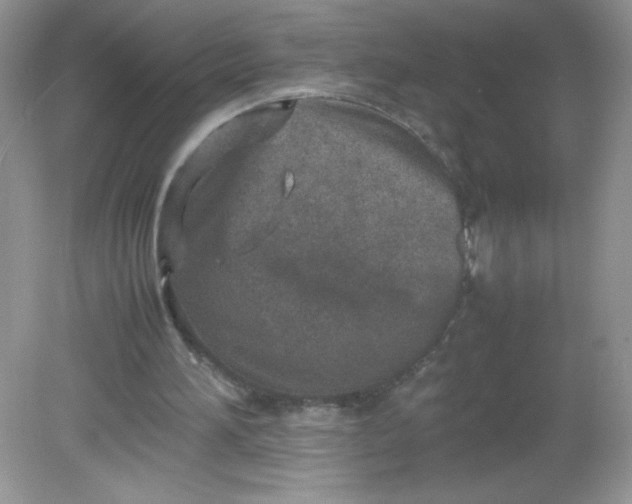 X0000082150196200702021644