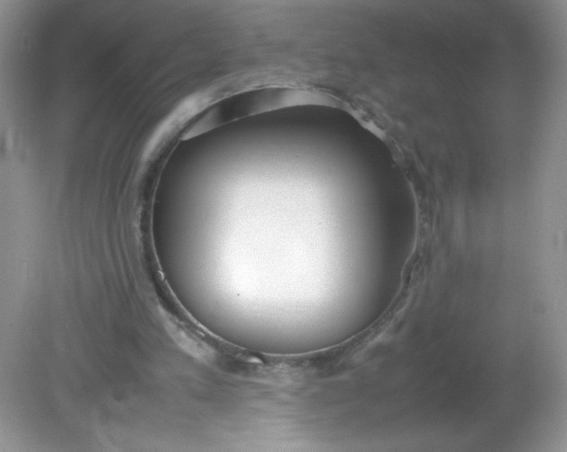 X0000082150197200702021644