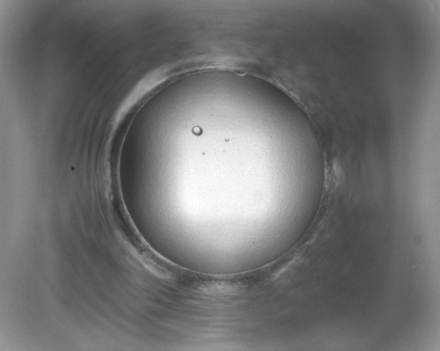 X0000082150198200702021644