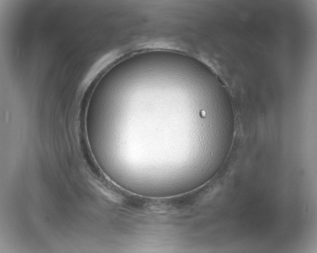 X0000082150199200702021644