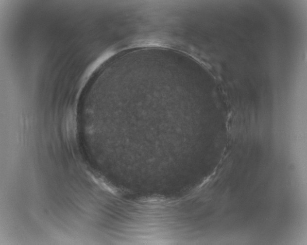 X0000082150200200702021644