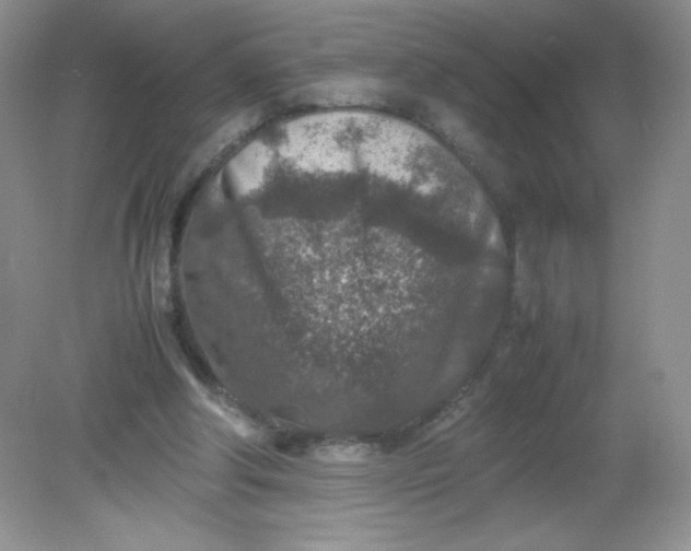 X0000082150202200702021643