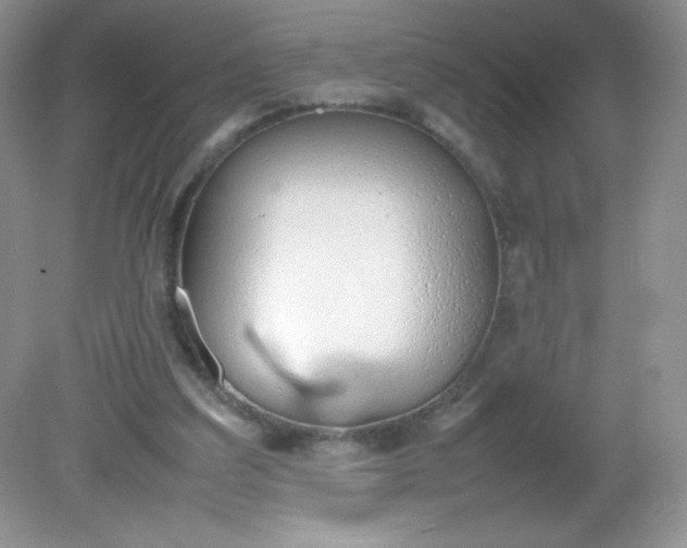 X0000082150203200702021643