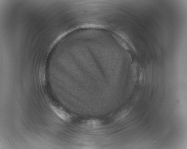 X0000082150204200702021643