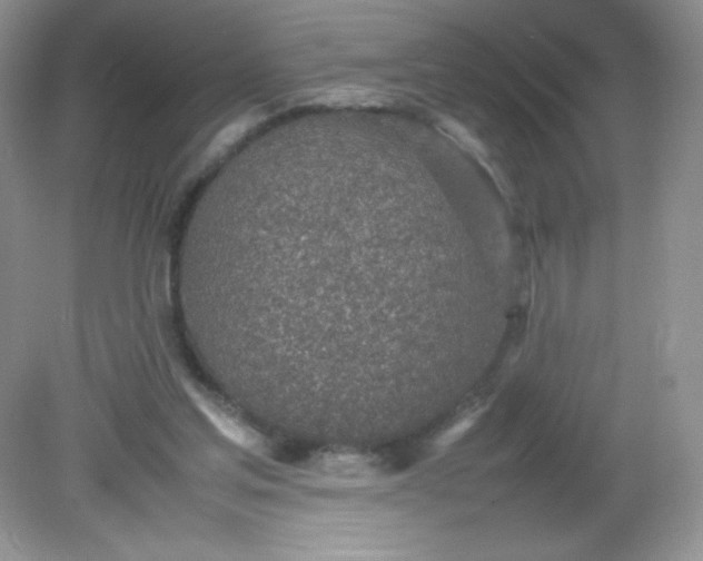 X0000082150205200702021643