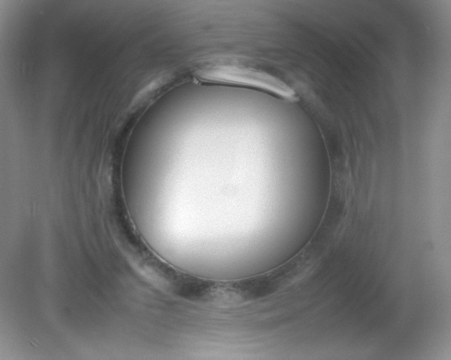 X0000082150207200702021643